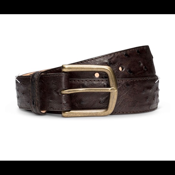tecovas ostrich belt